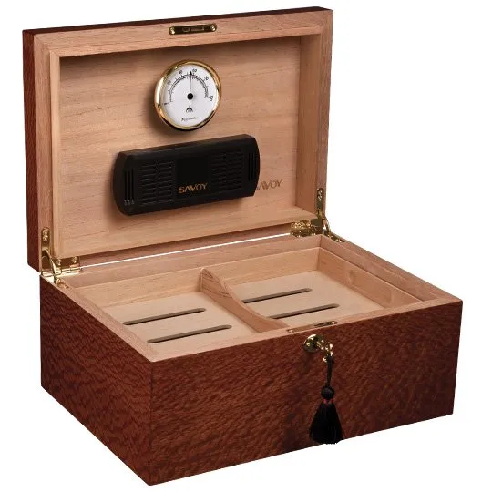 יומידור גדלים שונים ביטלווד