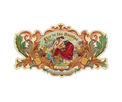 Flor De Las Antillas