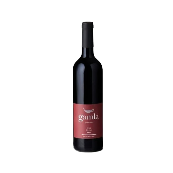 יין אדום גמלא מרלו עברית 22