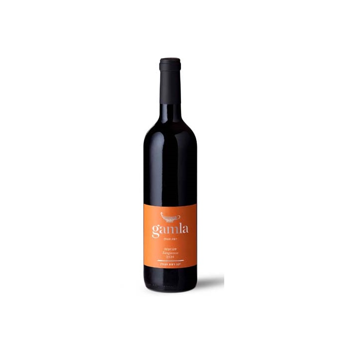 יין אדום גמלא סנג'ובזה עברית 22
