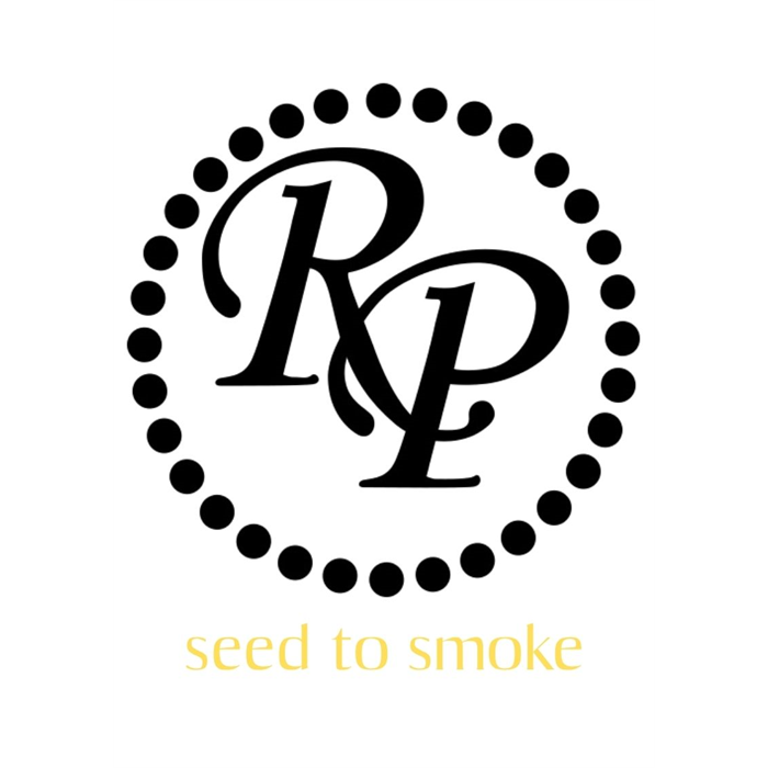 רוקי פטל- סיד טו סמוק קלאסיק (צהוב)